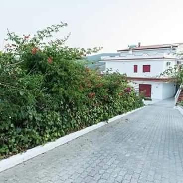 Villa Milena Apartments & Rooms Agropoli Bagian luar foto